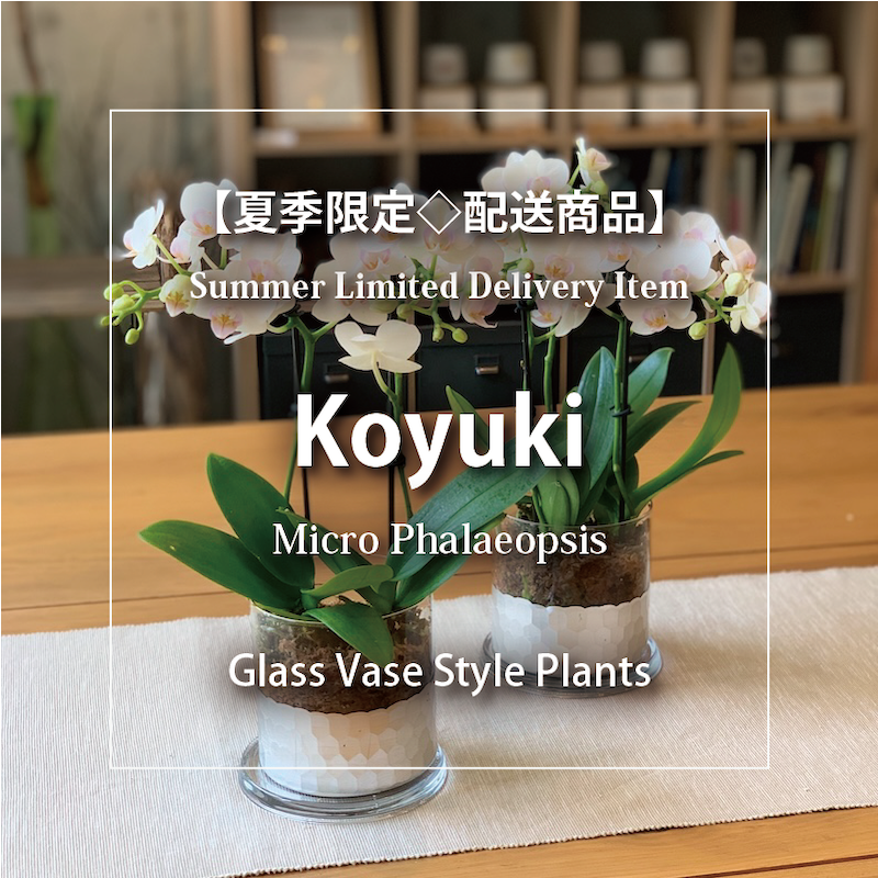 小雪：ガラスベース【夏季限定◇配送商品】